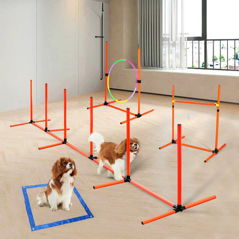 Dog Agility Training Set For Backyard And Indoor Use 4 Piece Obstacle Course with Jump Ring, Hurdles, and Weave Poles indoors