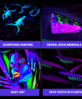 Composite image showing UV light uses: scorpion hunting, revealing rock minerals, creative body art, spotting pests on plants.
