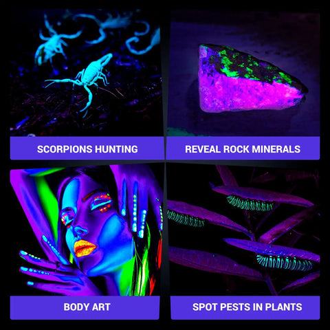 Composite image showing UV light uses: scorpion hunting, revealing rock minerals, creative body art, spotting pests on plants.