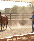 Trainer using 30 ft horse driving lines for cart training and ground driving, showing long reins and solid brass snaps.