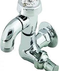 No-Nonsense Outdoor Sill Faucet With Vacuum Breaker, polished brass body, 1/2-Inch NPT inlet, 3/4-Inch hose threads, wall mount