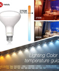 BR30 LED Flood Light Bulb 9W 65W Equivalent 5000K Daylight E26 Pack of 6 with lighting color temperature guide