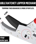 Close-up of double ratchet lopper mechanism with 4-stage gear for Heavy Duty Extendable Loppers With Telescopic 28 To 41 Inch Reach