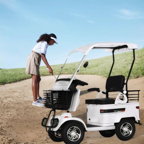 Haoweih 800W Electric Golf Cart For Adults With 60V Lead Acid Battery, Brisk Mobility Scooter near a grassy field.