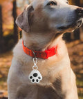 Heavy Duty Swivel Lobster Clasp Half Inch Zinc Alloy Hook For Purses Bags Lanyards Keys 12 Pack Gunmetal Black Finish Easy Twist Rotation Hardware For DIY Projects built attached to a dog's collar.