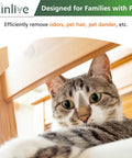 Cat playing under table showing need for P350 Pet Care Replacement Filter 3 In 1 Activated Carbon For Pet Dander And Odors