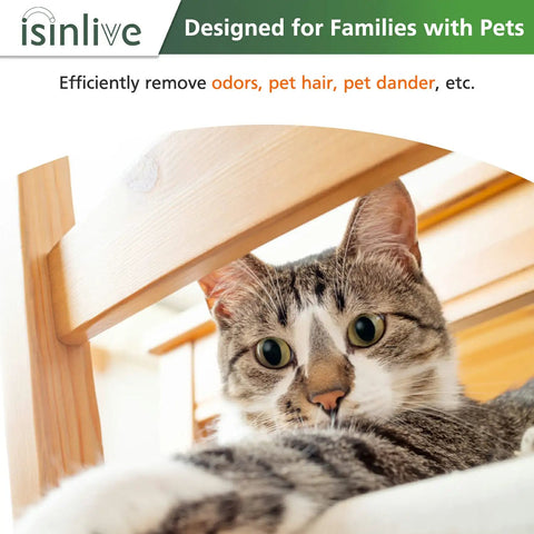 Cat playing under table showing need for P350 Pet Care Replacement Filter 3 In 1 Activated Carbon For Pet Dander And Odors