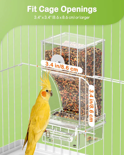 Clear Acrylic Automatic Bird Cage Feeder For Parakeets Budgies And Small Birds, No Mess Seed Dispenser Keeping Food Fresh And Dry, Birdie Approved Hassle Free Daily Setup with measuring size next to a bird.
