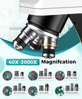 Biological Compound Microscope 100X To 2000X With Phone Adapter Black Model For Adults Students And Kids Kid Friendly Pro Grade Lab Teaching Instrument Includes Complete Slides Set For Classroom And Home Labs close-up of 4X 10X 40X objectives