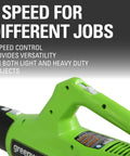 2-speed control feature for the blower in the 24V Cordless Combo Kit for versatile lawn work and projects.