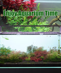 Solid As A Rock Aquarium Lid Clips, Transparent Abs Plastic Rimless Fish Tank Brackets And Anti Jump Guards on a rimless aquarium.