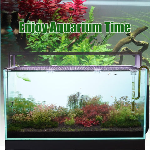 Solid As A Rock Aquarium Lid Clips, Transparent Abs Plastic Rimless Fish Tank Brackets And Anti Jump Guards on a rimless aquarium.
