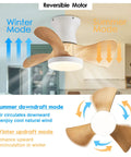 Compact 20 Inch Ceiling Fan With Light And Remote Whisper Quiet DC Motor Farmhouse Vibe Flush Mount Three Reversible Blades Ideal For Kitchen Dining Room Bedroom Office in reversible motor mode showing winter and summer airflow directions.