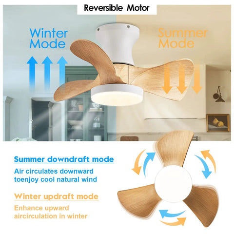 Compact 20 Inch Ceiling Fan With Light And Remote Whisper Quiet DC Motor Farmhouse Vibe Flush Mount Three Reversible Blades Ideal For Kitchen Dining Room Bedroom Office in reversible motor mode showing winter and summer airflow directions.