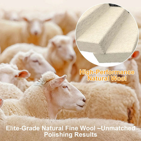 BURMONG 8-Piece Wool Polishing Wheel Kit with natural wool buffs; 5 wheels + 3 polishing compounds