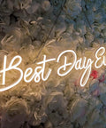 Lit 26 Inch By 7.9 Inch LED Neon Sign Best Day Ever With Dimmer 12V Power Adapter Acrylic Backplate Wall Decor on flower wall