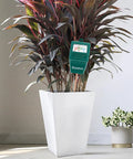 Almost 12 Inch Long Probe Soil Moisture Meter in tall white pot with house plant
