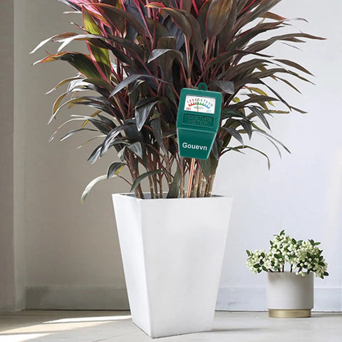 Almost 12 Inch Long Probe Soil Moisture Meter in tall white pot with house plant