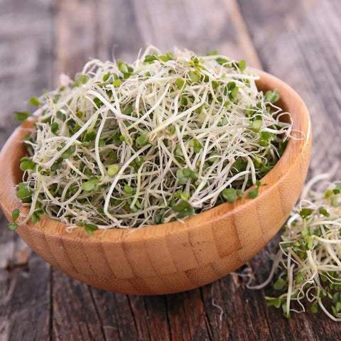 Wooden bowl with fresh organic sprouts from Organic Sprouting Seed Assortment Pack For Microgreens And Sprouts, 12 Pre-Measured Packs Featuring Broccoli, Alfalfa, Mung, And More, Non GMO Ready To Grow No Guesswork