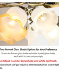 YPDJVLTI Ceiling Fans Lights 48-56Inch LED Fandelier showing amber and white frosted glass shade options.