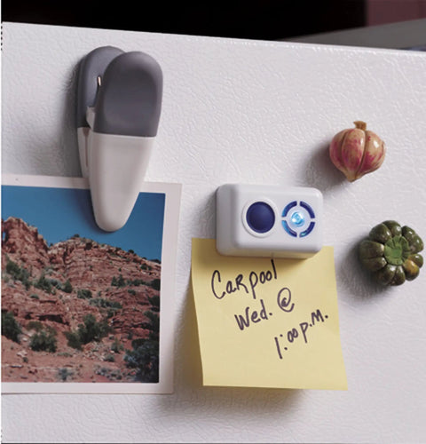 Fridge with magnet clips, photo, and note that says 'Carpool Wed. 1:00 p.m.', decor on a white surface.