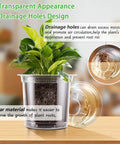 Clear Nursery Pots Set In 5 Inch 4 Inch And 3.5 Inch Sizes With Drainage Holes For Easy Transplanting Seedlings Cuttings And Succulents Includes 15 Plant Labels And 12 Packs showing clear pot with plant and root visibility