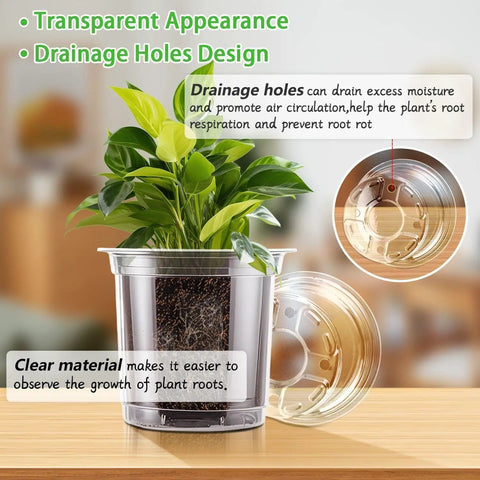 Clear Nursery Pots Set In 5 Inch 4 Inch And 3.5 Inch Sizes With Drainage Holes For Easy Transplanting Seedlings Cuttings And Succulents Includes 15 Plant Labels And 12 Packs showing clear pot with plant and root visibility