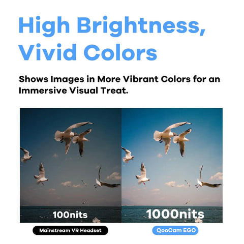 Comparison of seagulls over ocean with '100nits Mainstream VR Headset' and '1000nits QooCam EGO' brightness display.