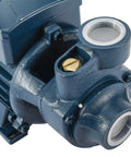 Heavy Duty Half Horsepower Electric Centrifugal Water Pump For Pools And Ponds, 370 Watt, 110 Volt, 60 Hz, pre-filter detail
