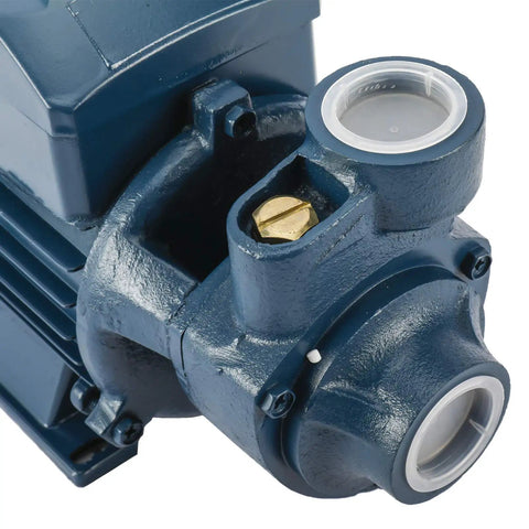 Heavy Duty Half Horsepower Electric Centrifugal Water Pump For Pools And Ponds, 370 Watt, 110 Volt, 60 Hz, pre-filter detail