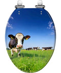 Elongated Toilet Seat with Quiet Close Quick Release featuring a cow design on a clear background.