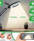 Real Glass Magnifying Desk Lamp With 3 In 1 LED Lighting illuminating desk, highlighting swing arm and plant in focus