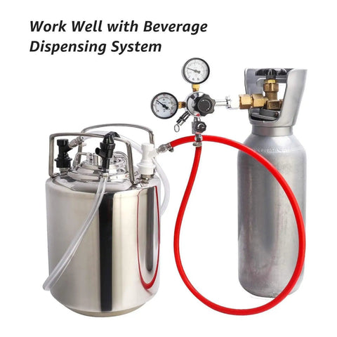 Ball Lock Quick Disconnect Set for Home Brewing Kegs With Five Sixteenths Gas Barbs and One Quarter Inch Liquid Barbs Includes Stainless Steel Hose Clamps For Secure Connections and Easy Keg System Upgrades, keg setup with regulator and CO2 tank