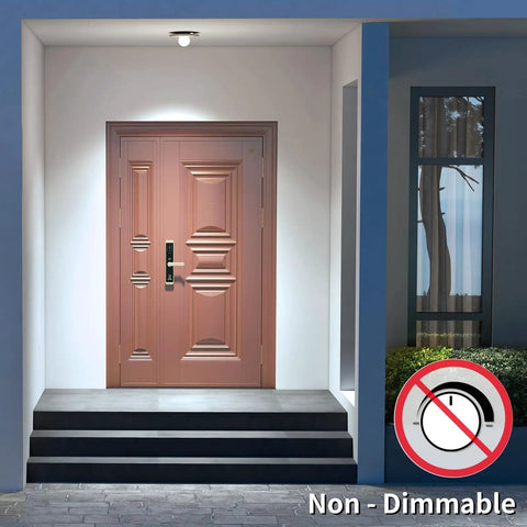 6-Pack A19 LED Light Bulbs That Do 100W Equivalent Daylight 5000K Brightness, Super Efficient 13W installed outside entryway.