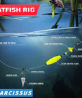 Catfish Rig Set With 6 Pre Tied Rigs 2 Sinker Sliders And 2 Ounce Pyramid Sinkers Circle Hooks Size 6 Zero Santee Rig underwater view