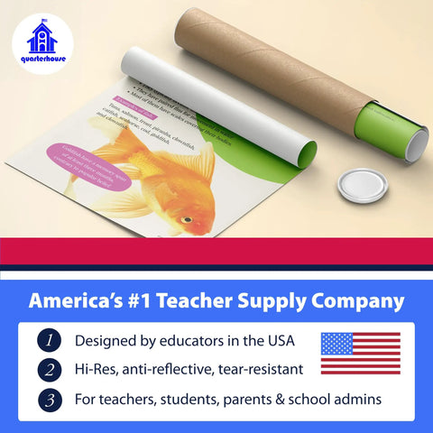 7 Poster Animal Groups Set For Science Classroom Learning Mammals Birds Amphibians Invertebrates Reptiles Fish And Biological Kingdom Classification 12 By 18 Inches Made In USA Perfect K12 Kid Friendly Teacher Decor, rolled poster tube showing fish poster.