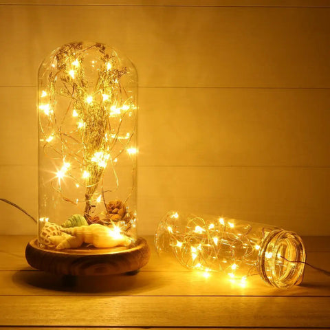 Battery Operated Fairy String Lights 10 Feet With 30 Warm White LEDs in glass dome and jar for home decor, weddings, festivals