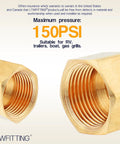 Three Eighths Inch Brass Compression Cap For Tubing Fittings Pack Of Sixty Durable Brass Cap Fits Three Eighths Inch Outer Diameter Lines Built To Last