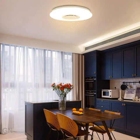 LED Starlight Ceiling Light With Bluetooth Speaker 36W Dimmable Color Changing Ambient Lamp in modern kitchen setup