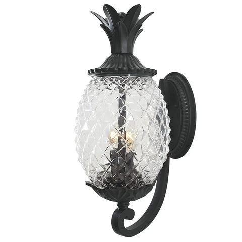 Lanai Collection Two Light Outdoor Wall Mount Fixture in Matte Black With Tropical Leaf and Fruit Style