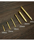 Top Shelf Antique Copper Brass Furniture Nails 2.8 By 35 mm Heavy Duty Hardware Assortment 20 Piece Pack display with various nail sizes