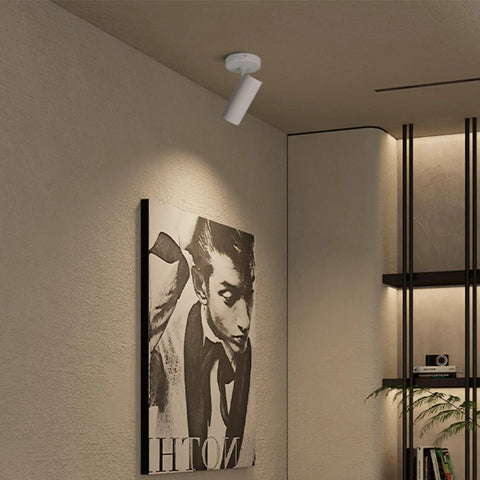 LED Dimmable Ceiling Spotlight Gallery Style Indoor Accent Picture Light hardwired surface mount adjustable beam in living room