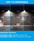 Full Cutoff LED Wall Pack 45W 5625LM Dimmable UL Listed Outdoor Flood Light illuminating building façade.