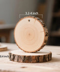 Close-up of Ready To Hang Wood Slices Craft Kit with a 3.2-4 inch natural pine disc showing pre-drilled holes for ornaments and decor.