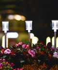 Super Bright Solar Pathway Lights 10 Pack For Outdoor Use IP54 Waterproof Garden Lights illuminating flowers at night