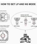 Gas pressure regulator conversion diagram showing NG and LPG modes with screw adjustment.