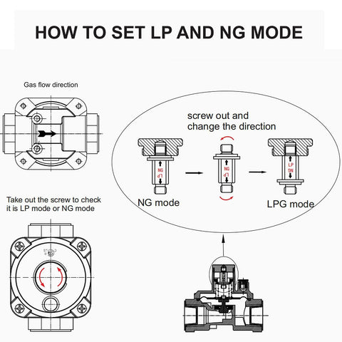 Gas pressure regulator conversion diagram showing NG and LPG modes with screw adjustment.
