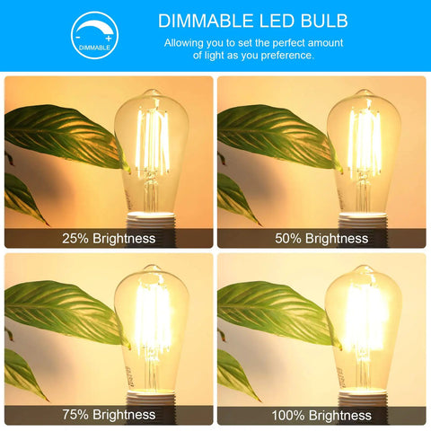Vintage Edison Style LED Filament Bulbs 2700K Soft White dimmed at different brightness levels