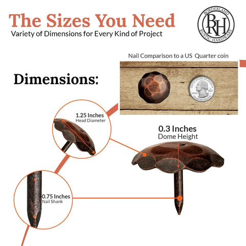 Dimensions of 100 Pack 1.25 Inch Large Round Head Clavos Decorative Nails In Oil Rubbed Bronze shown with coin for size comparison.