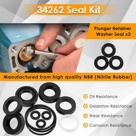 Image of Beefed Up Seal Kit For 66DX And 6DX Pressure Washer Pumps with replacement seals displayed next to pump installation.